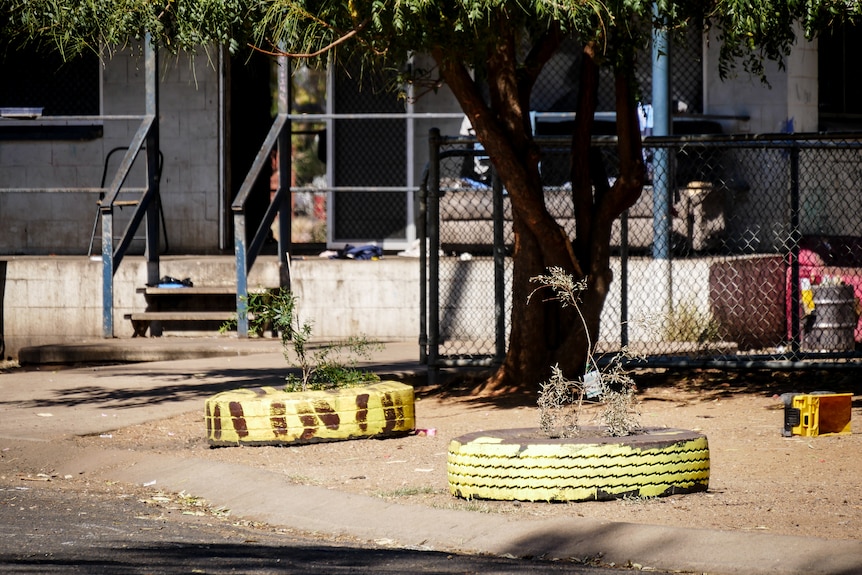 Plants in coloured tyres