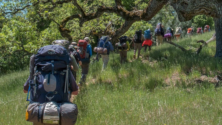 Backpackers on a hike