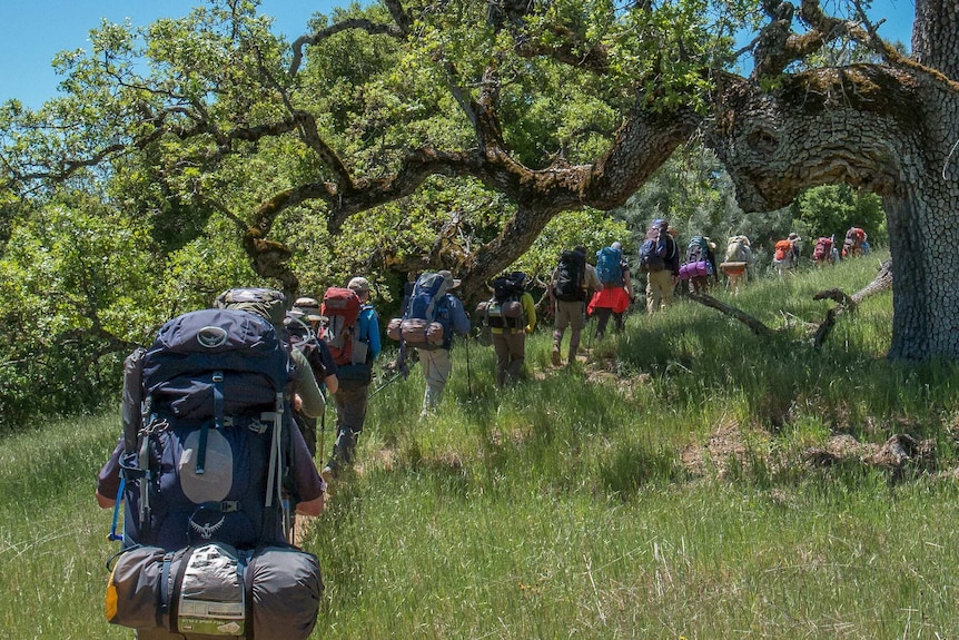 Backpackers on a hike