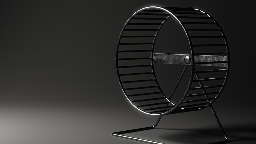 Black and white image of hamster wheel