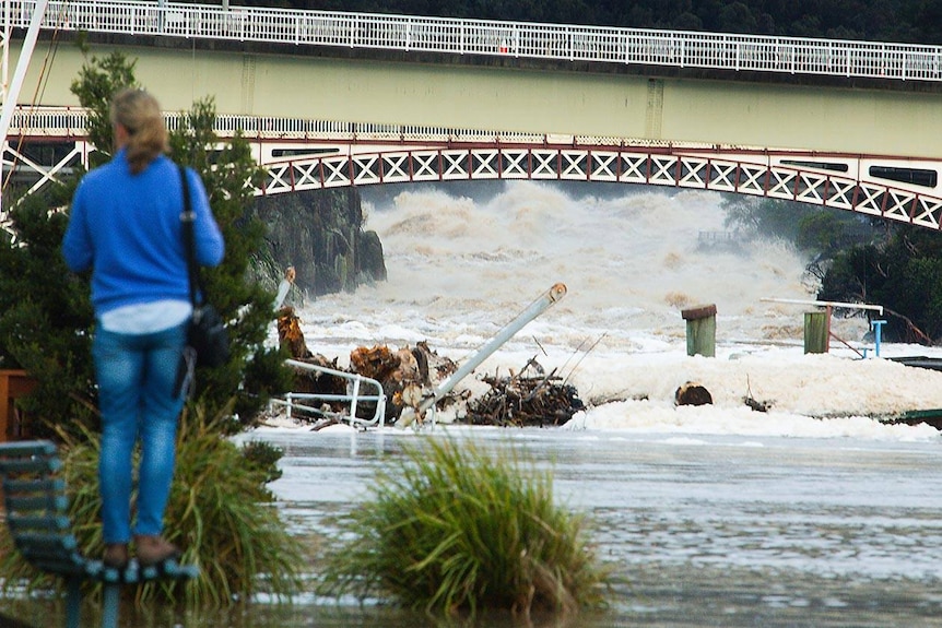 A mass of debris collecting in the Tamar Yacht Club basin