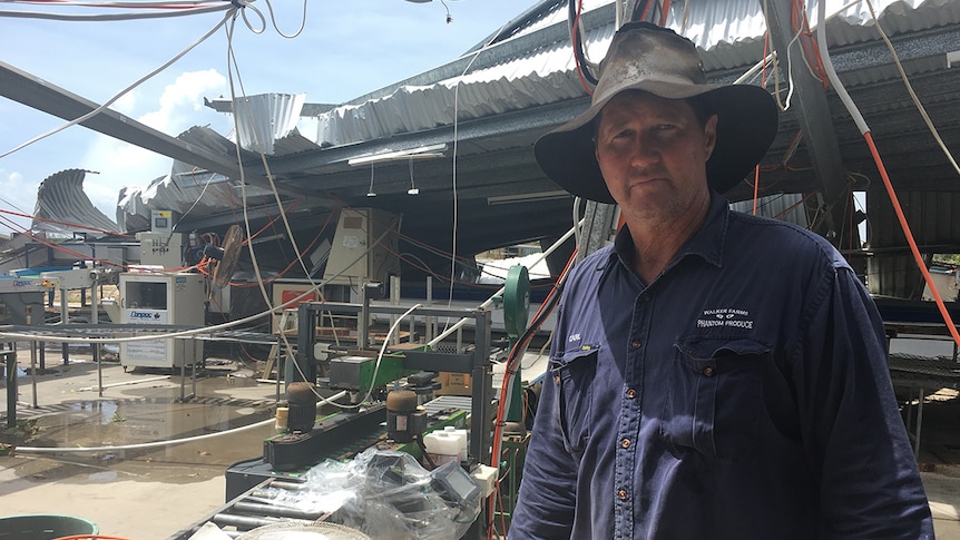 Carl Walker in his packing shed which was ripped apart in the cyclone.