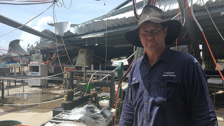 Carl Walker in his packing shed, which was ripped apart in the cyclone.