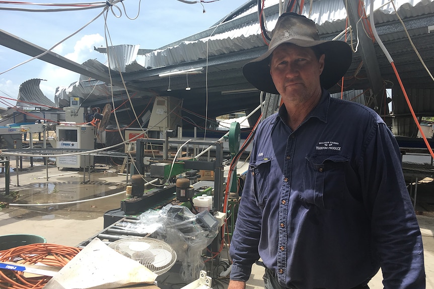 Carl Walker in his packing shed which was ripped apart in the cyclone.