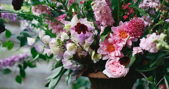 Close up of a colourful bunch of flowers