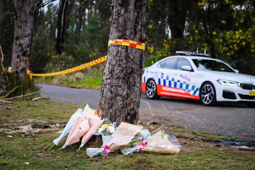 Flowers next to a tree with a police car in the background