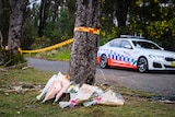 Flowers next to a tree with a police car in the background