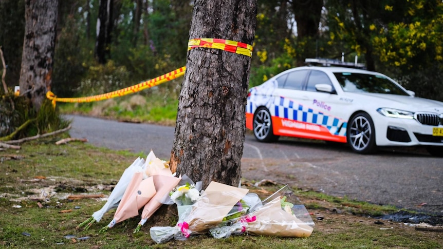 Flowers next to a tree with a police car in the background