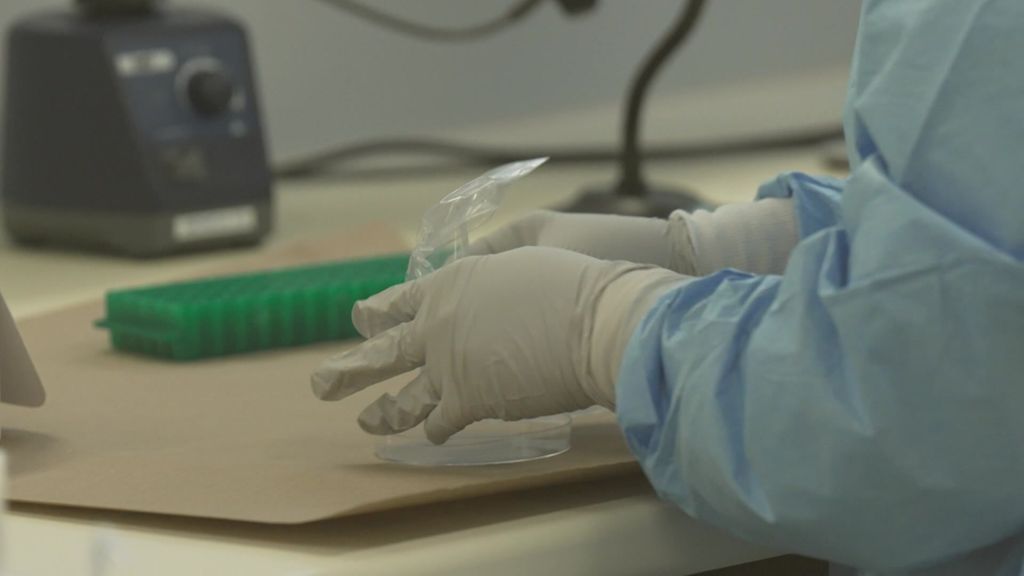 Inside the Queensland government's DNA testing lab.