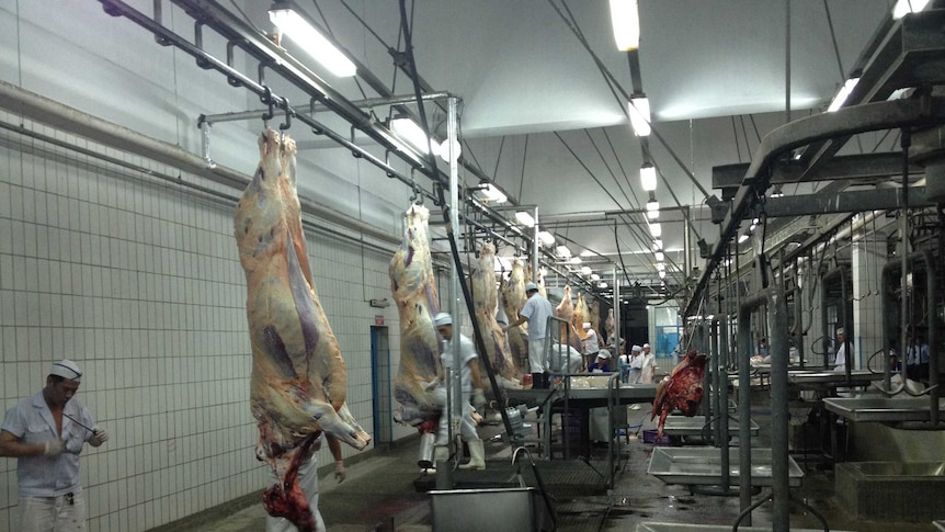 Inside a Vietnamese abattoir