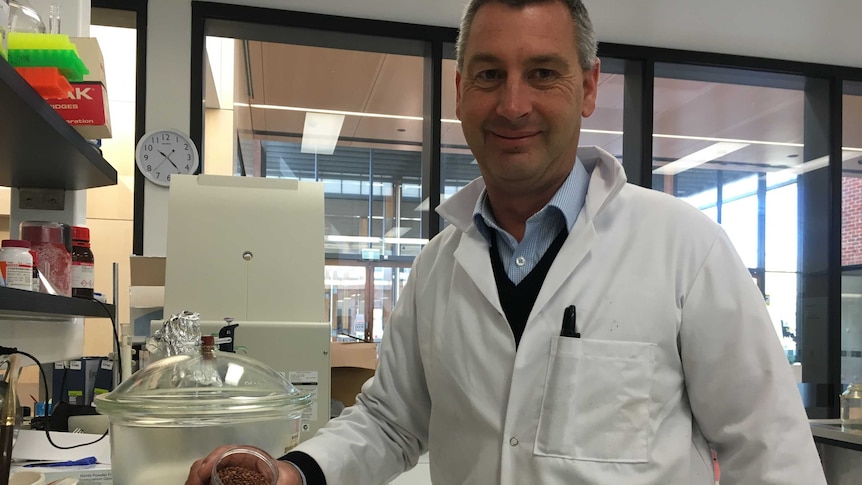 Functional Grains Centre PHD student Drew Portman is using lentil flour to make bread