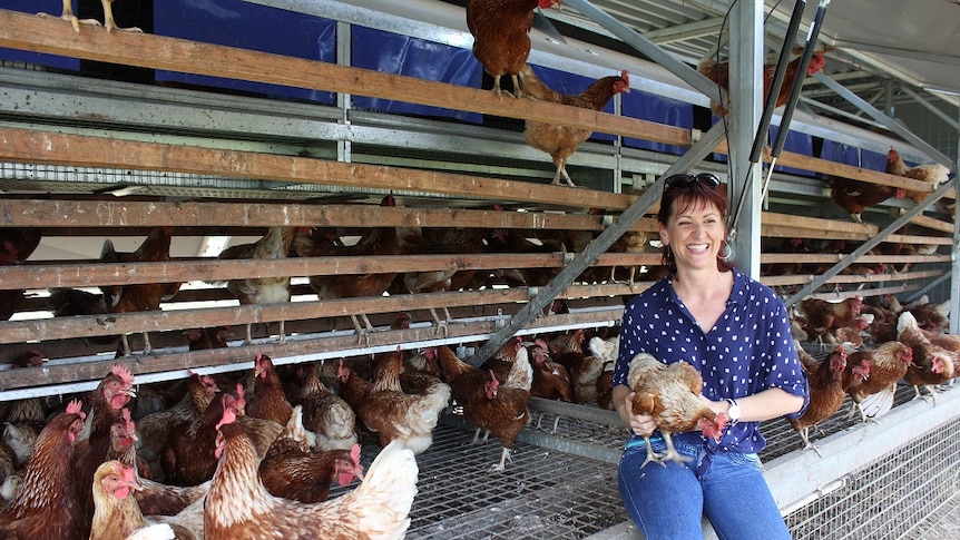 Jane Streeter holds a chook while sitting in one of the chook caravans.