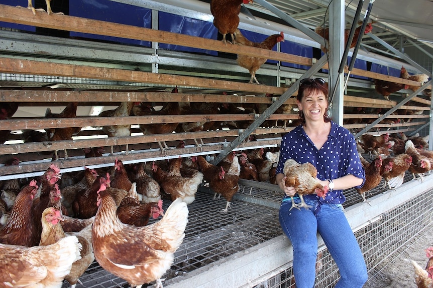 Jane Streeter holds a chook while sitting in one of the chook caravans.