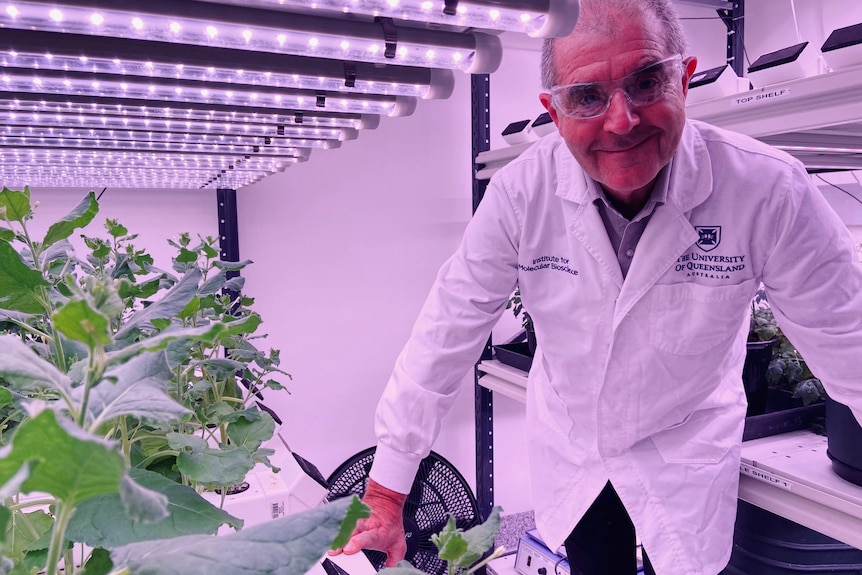 David Craik in a lab coat in a greenhouse.