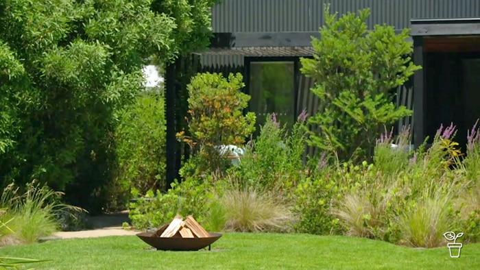 Landscaped garden filled with Australian native plants with a firepit on the lawn filled with wood
