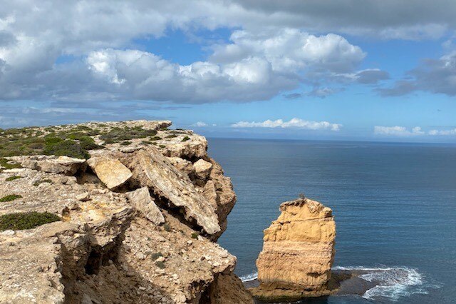Tall cliffs that have given way, slanting towards the ocean.