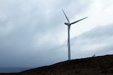 Cape Bridgewater wind farm