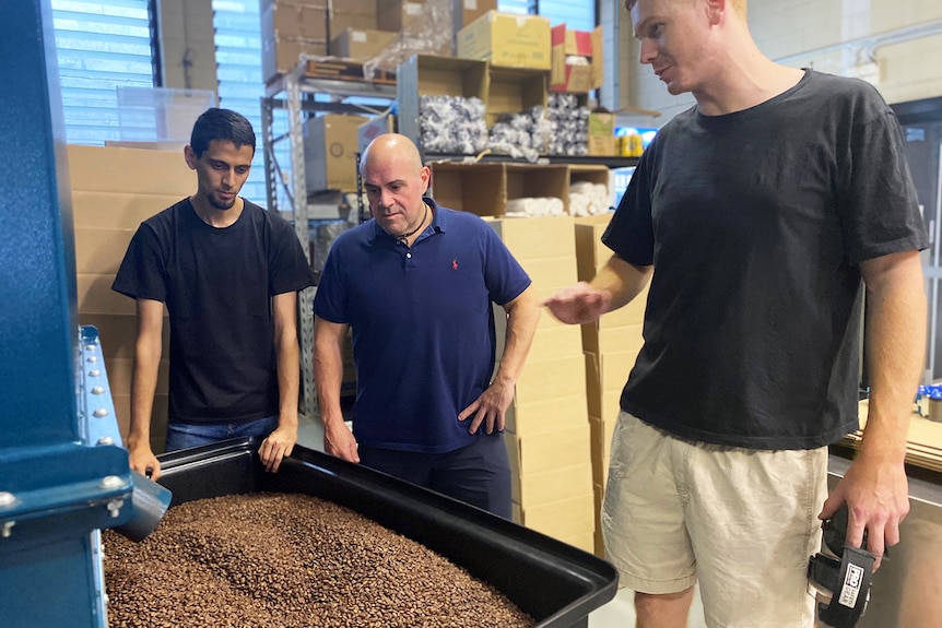 Phillip Di Bella (centre) stands over vat of coffee beans, with two other staff.