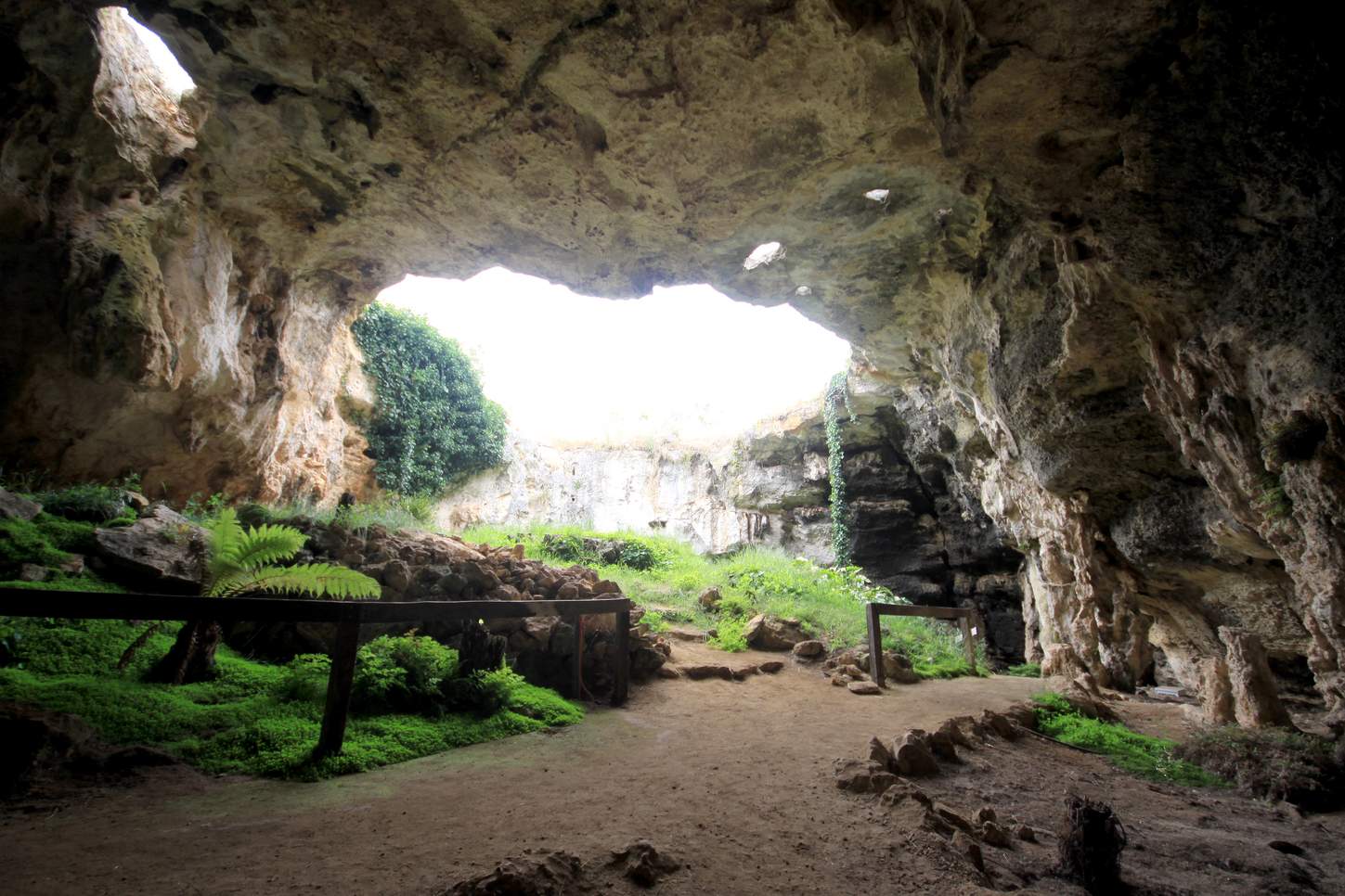 Large roof window entrance in the spectacular Blanche Cave, Naracoorte.