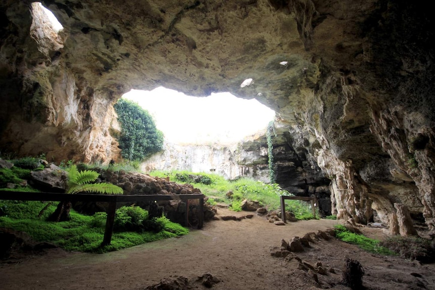 Large roof window entrance in the spectacular Blanche Cave, Naracoorte.