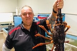 A man holds up a live lobster to the camera. Behind him are tanks filled with other lobsters.