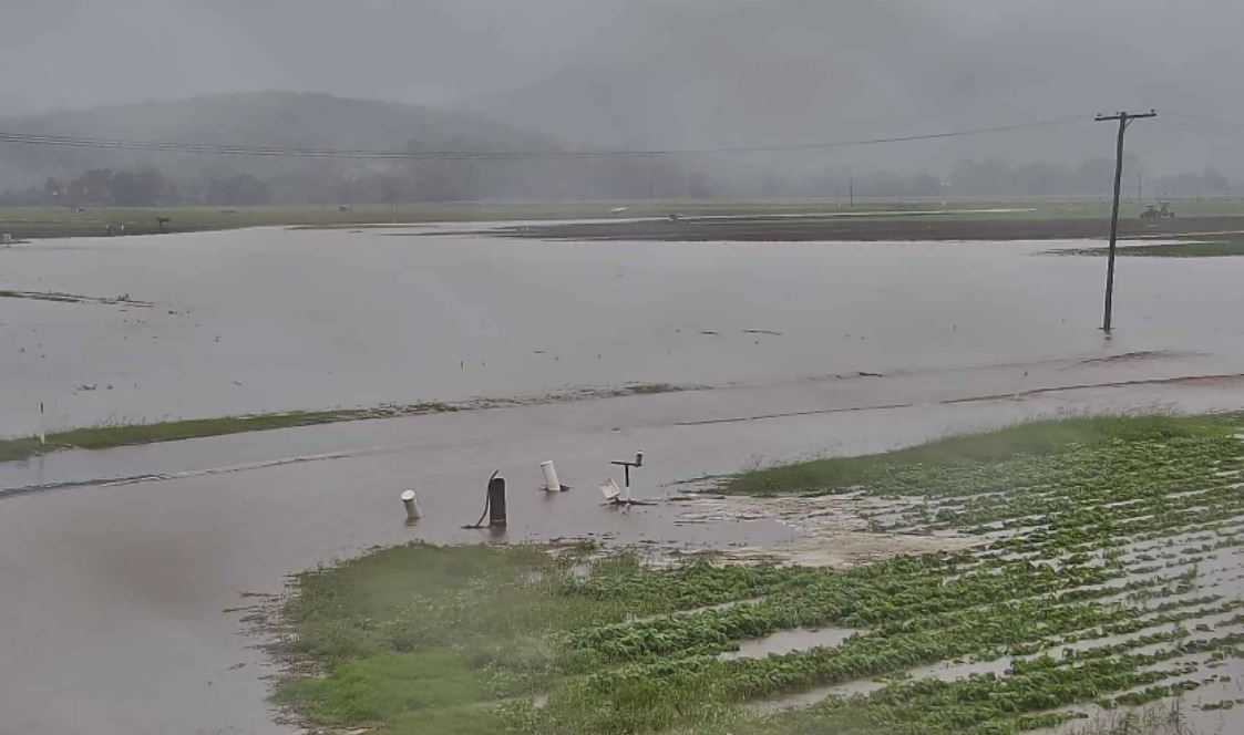 Flooding of field at Mulgowie School Road in Lockyer Valley showing brown flood water through a field