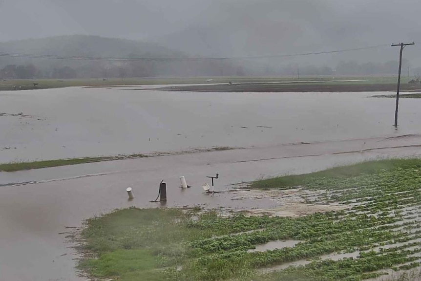 Flooding of field at Mulgowie School Road in Lockyer Valley showing brown flood water through a field