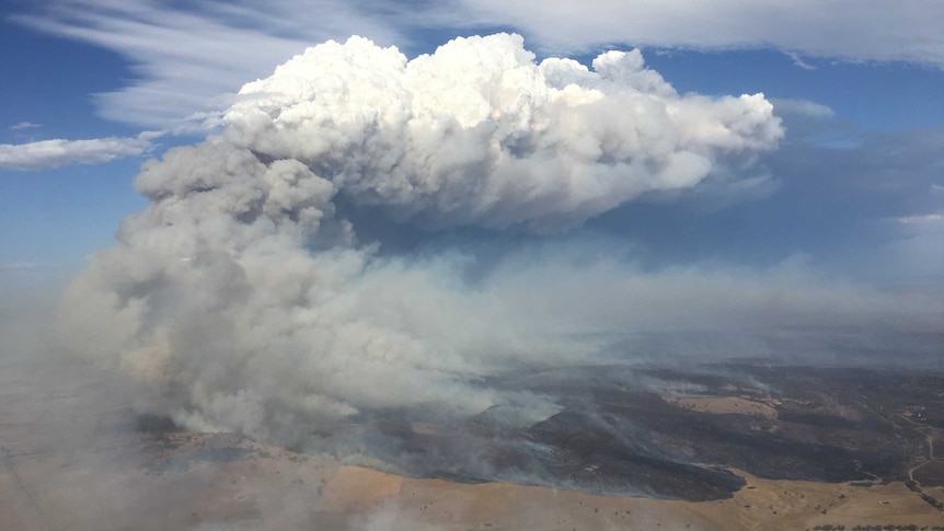 A large plume of smoke rises from a large bushfire.