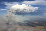 A large plume of smoke rises from a large bushfire.