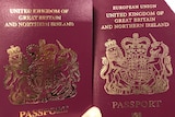 Two UK passports, one with the words "European Union" on it and one without.