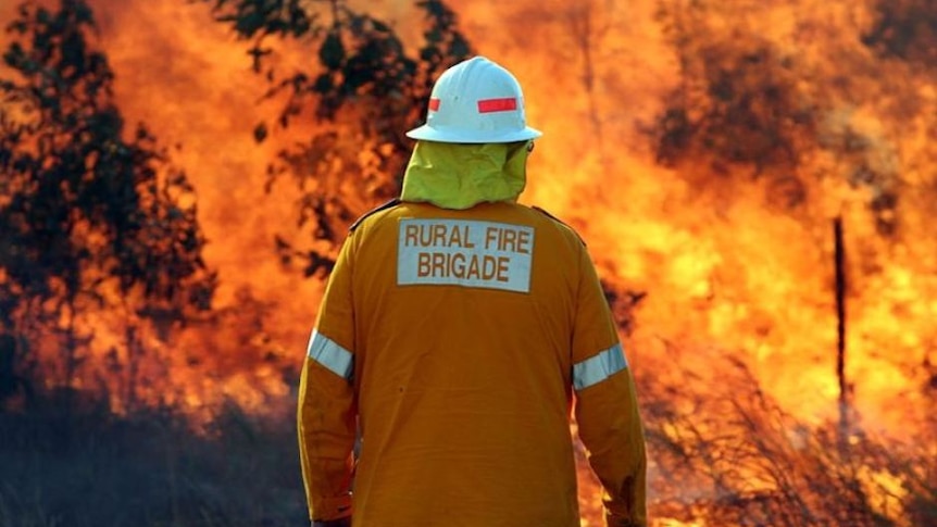 An unidentified member of Queensland's rural fire brigade faces a large blaze