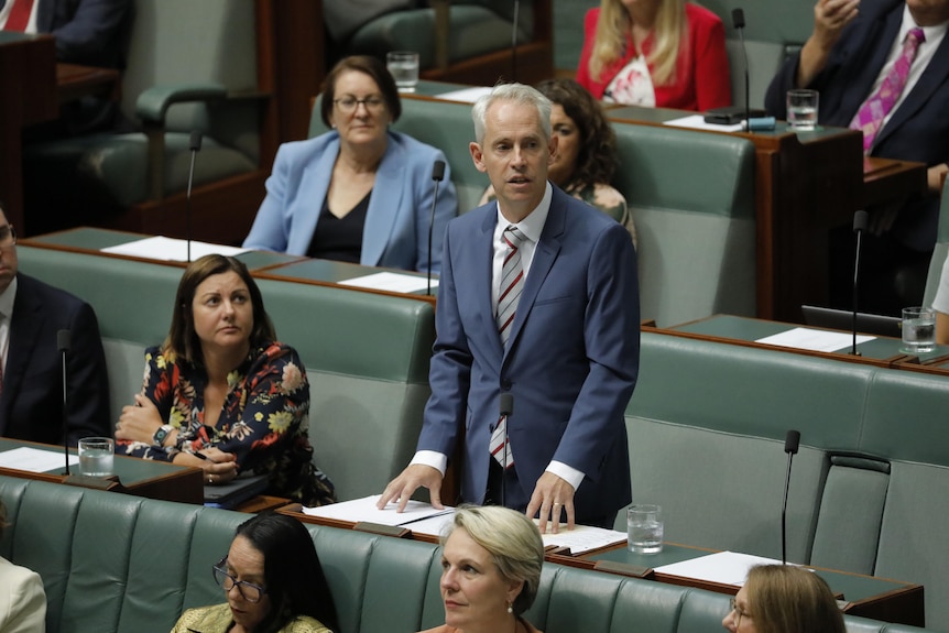 Andrew Giles in a blue suit and striped tie in house of representatives