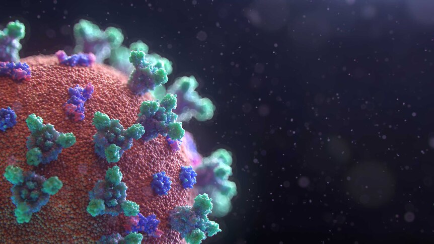 an animation of the Covid -10 viral surface
