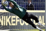 Ante Covic dives to catch a ball during a training session in Rotterdam ahead of Australia's 2006 World Cup finals campaign