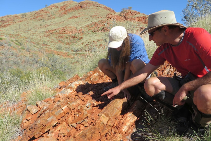 Professor Martin van Kranendonk and Tara Djokic examine rock in the Pilbara