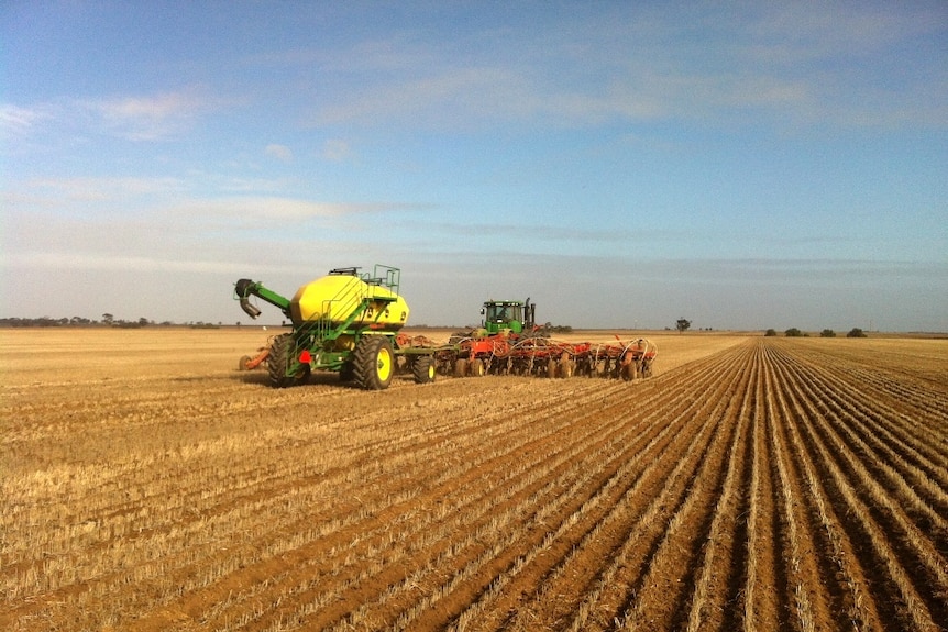 A tractor sowing a wheat crop in a paddock