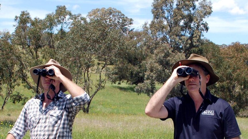 Scientists watch birds on a property at Boorowa in southern NSW