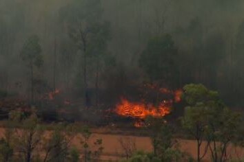 A fire burning in bushland