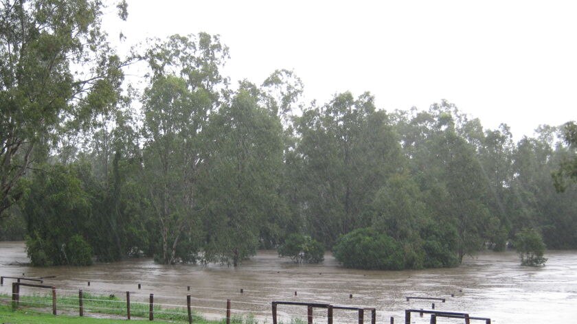 Trees that usually sit beside Slacks Creek in south-east Queensland are submerged in water.