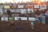 Crowds watching rodeo