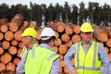 Minister Leon Bignell met Forestry SA about planned job losses