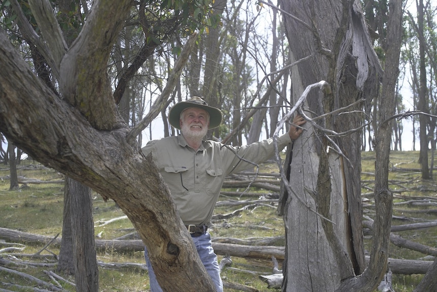 A farmer stands among dead trees on his property