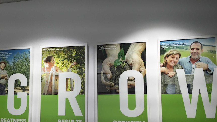 Horticulture Innovation Australia posters say G-R-O-W at Headquarters in Sydney