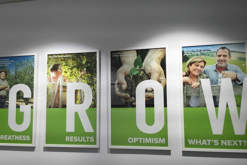 Horticulture Innovation Australia posters say G-R-O-W at Headquarters in Sydney