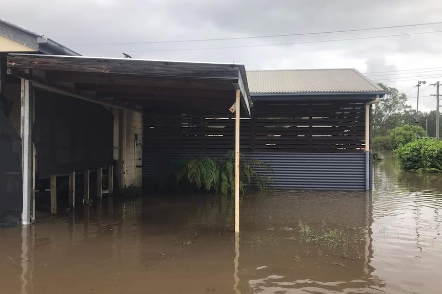 The back patio of a flooded store.