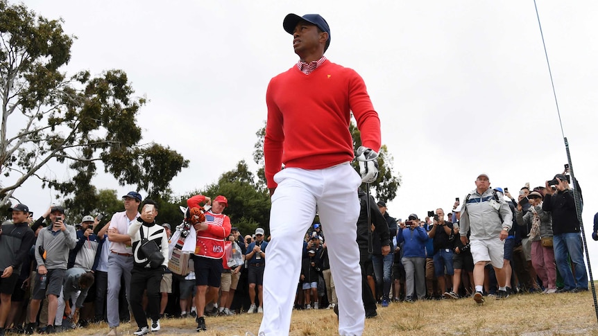 Tiger Woods walks on the course, carrying a club. A large crowd of people stands behind him.
