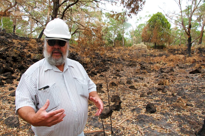 Gunditjmara elder Denis Rose stands in a burnt clearing at Budj Bim.