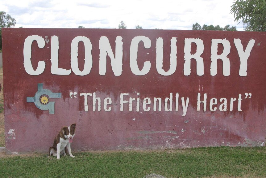 Jasmin the border collie in Cloncurry