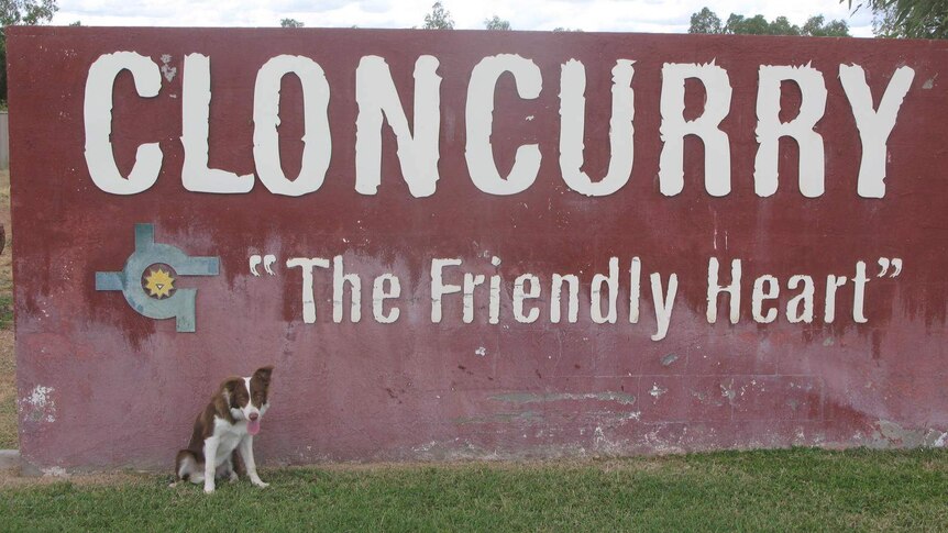 Jasmin the border collie in Cloncurry