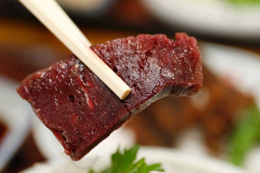 A piece of raw whale meat held in chopsticks.